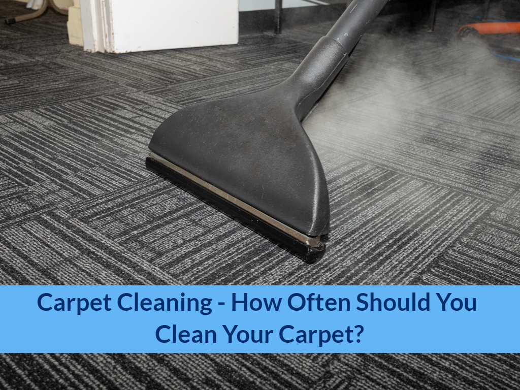 Carpet Cleaning How Often Should You Clean Your Carpet?